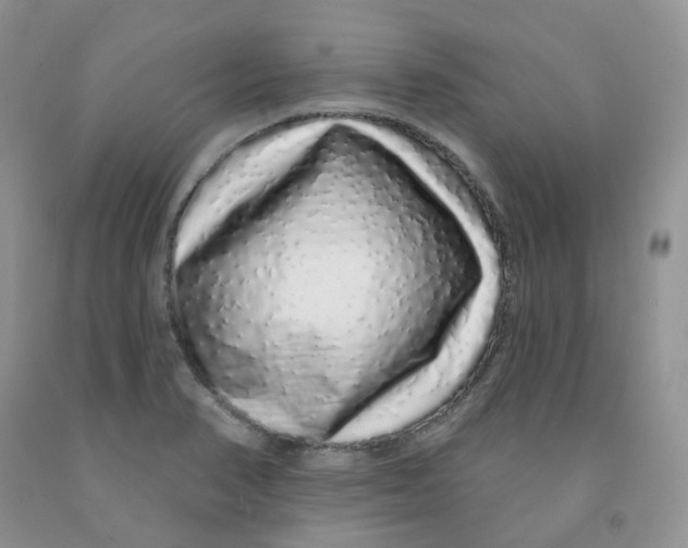 X0000091311374200709071105