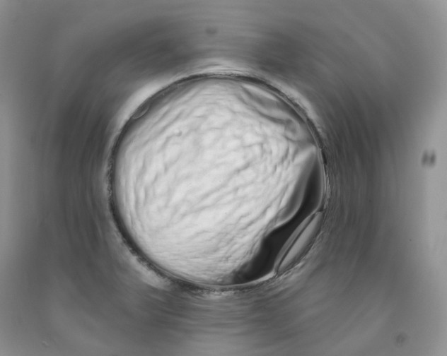 X0000091311375200709071105