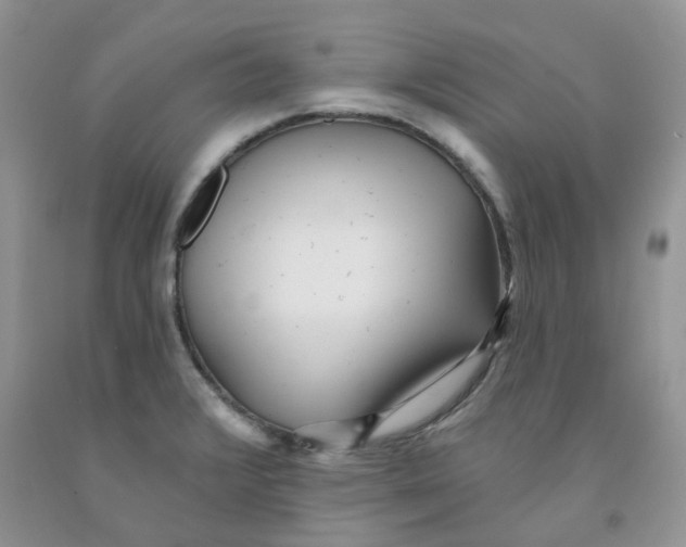 X0000091311376200709071105