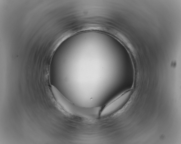 X0000091311377200709071105