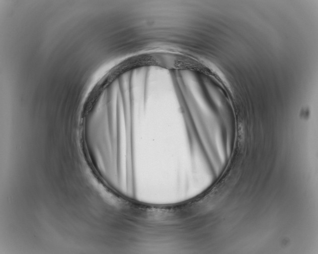 X0000091311379200709071105