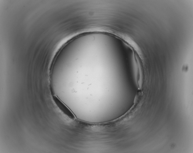 X0000091311380200709071105