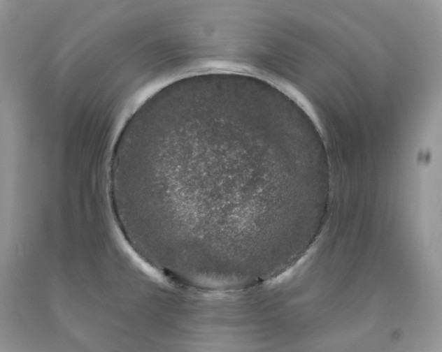 X0000091311381200709071105