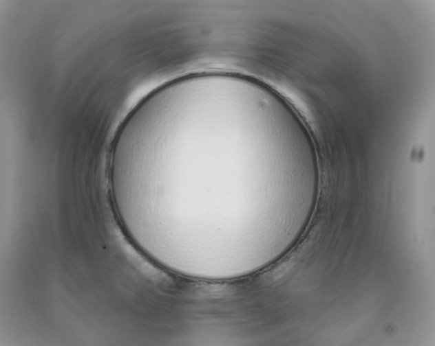 X0000091311382200709071105