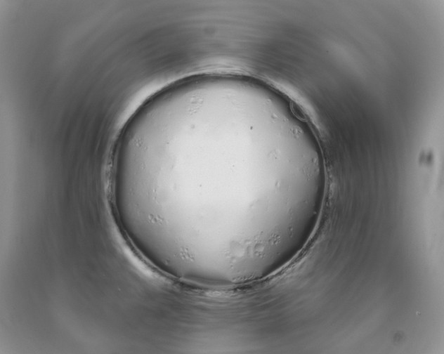 X0000091311383200709071105