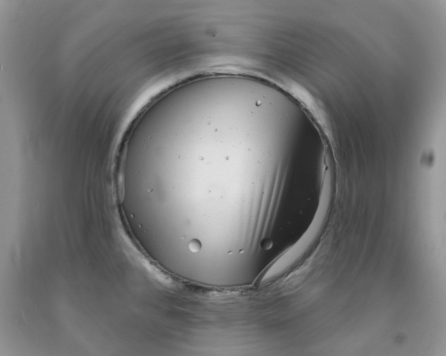 X0000091311384200709071105