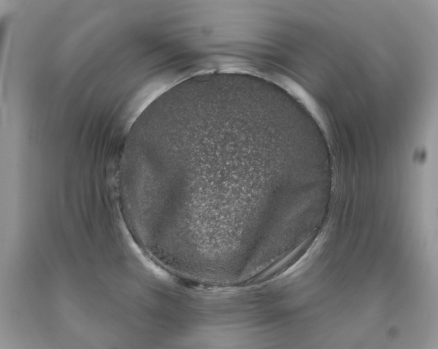 X0000091311385200709071105