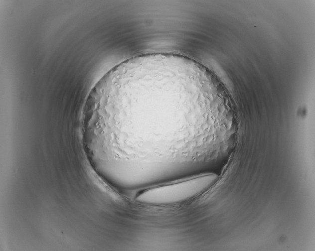 X0000091311386200709071105