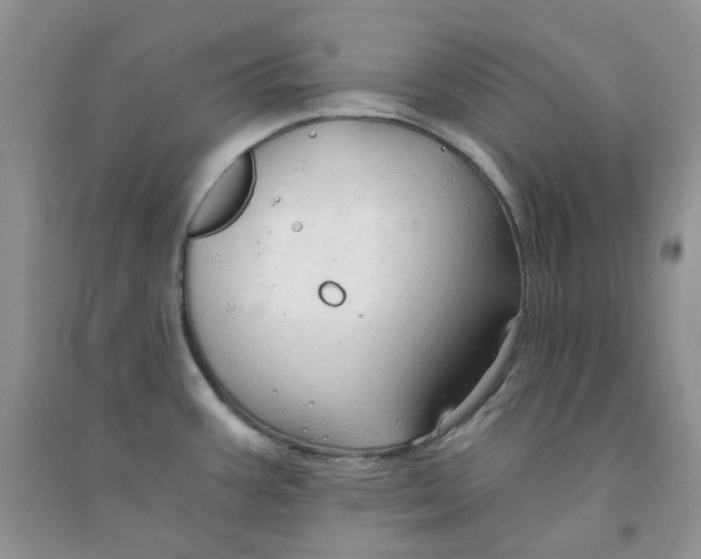 X0000091311387200709071105