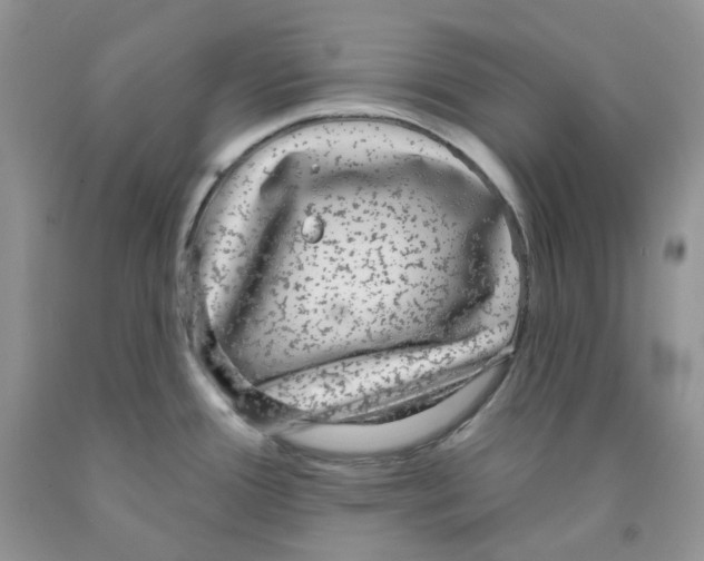 X0000091311388200709071105