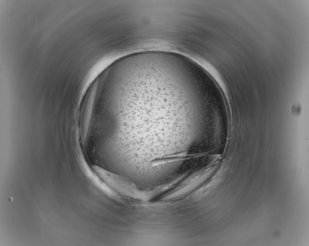 X0000091311389200709071105