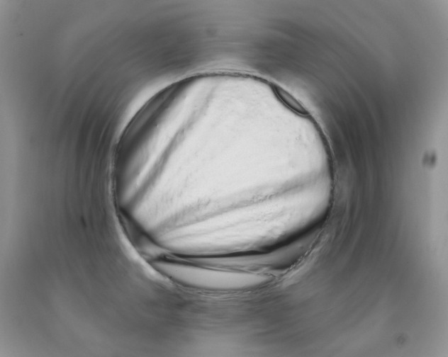 X0000091311390200709071105