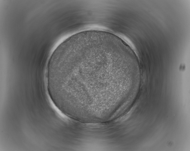 X0000091311391200709071105