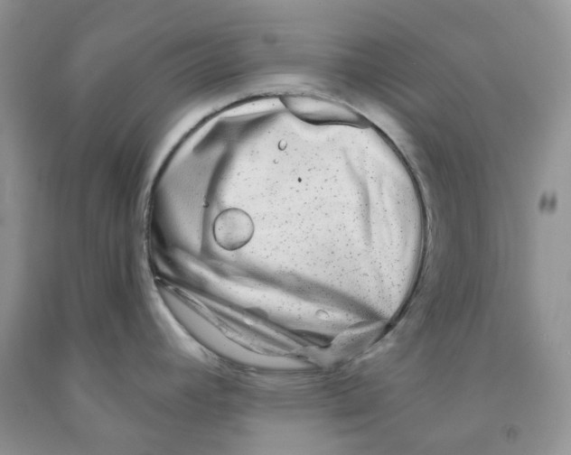 X0000091311392200709071105