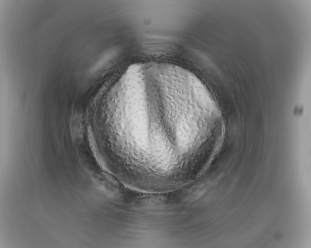 X0000091311394200709071104