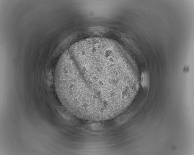 X0000091311395200709071104