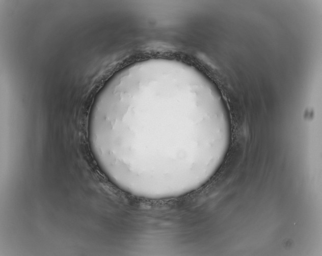 X0000091311397200709071104