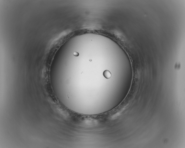 X0000091311398200709071104