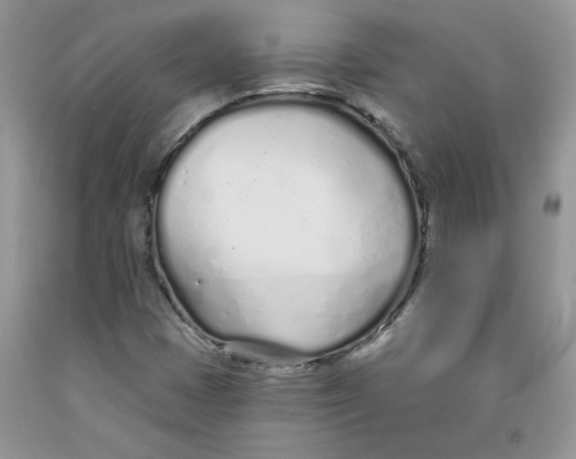 X0000091311401200709071104