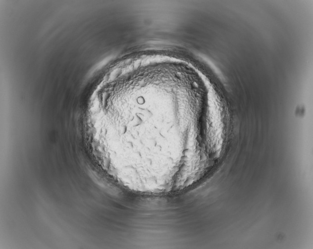 X0000091311403200709071104