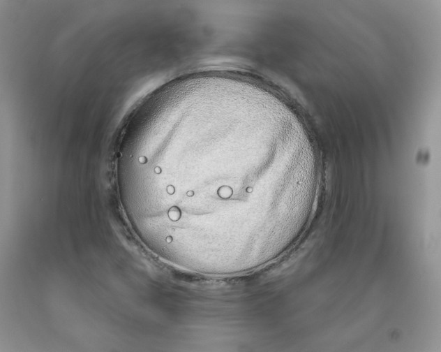 X0000091311405200709071104