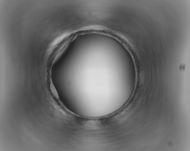 X0000091311406200709071104