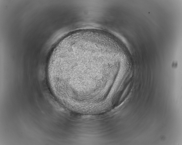 X0000091311407200709071104