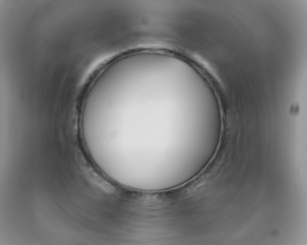 X0000091311408200709071104