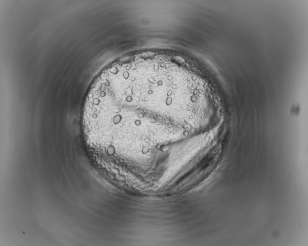 X0000091311409200709071104