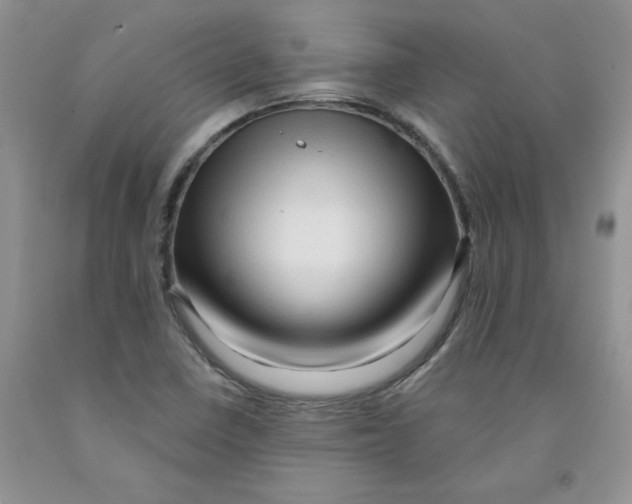 X0000091311410200709071104