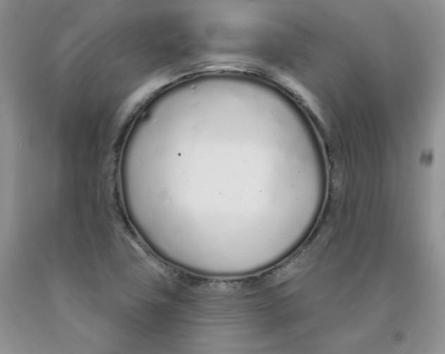 X0000091311411200709071104