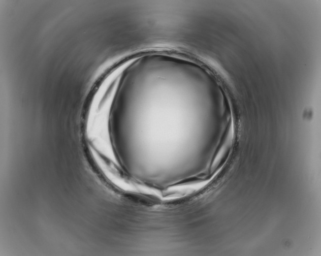 X0000091311412200709071104