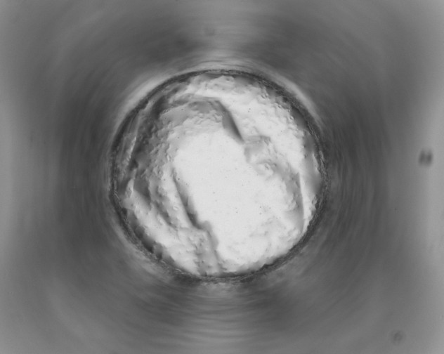 X0000091311415200709071104