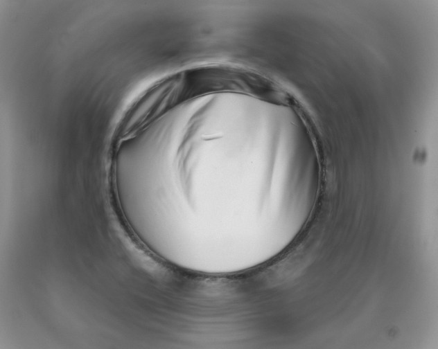 X0000091311416200709071104