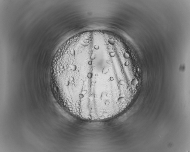 X0000091311417200709071104