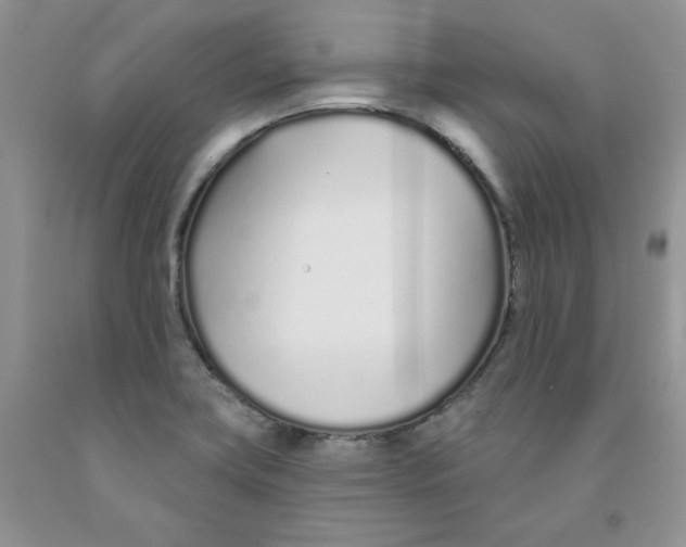 X0000091311419200709071104