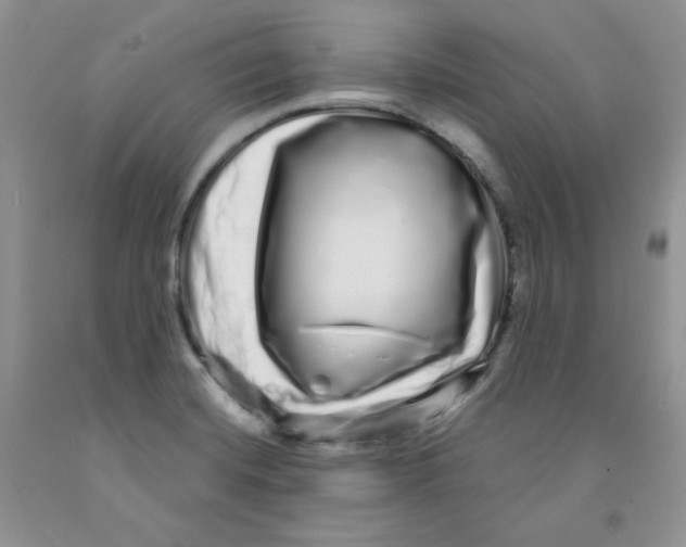 X0000091311420200709071104