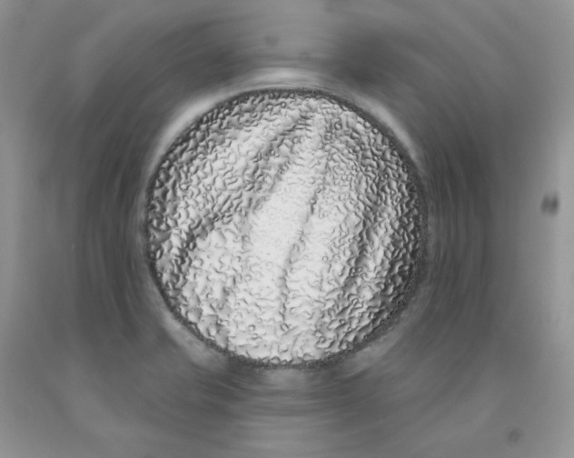 X0000091311421200709071104