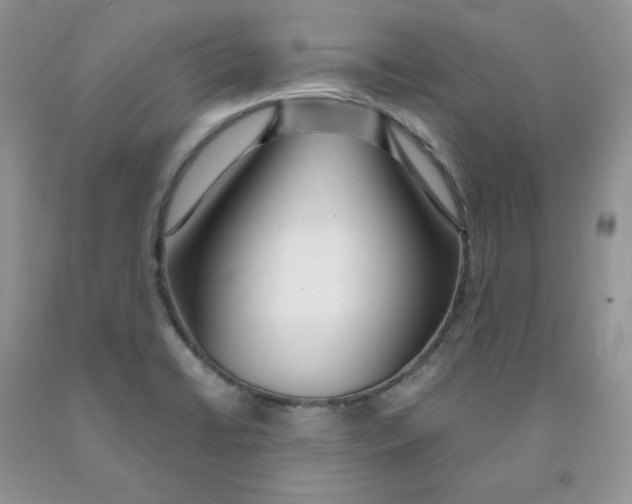 X0000091311422200709071104