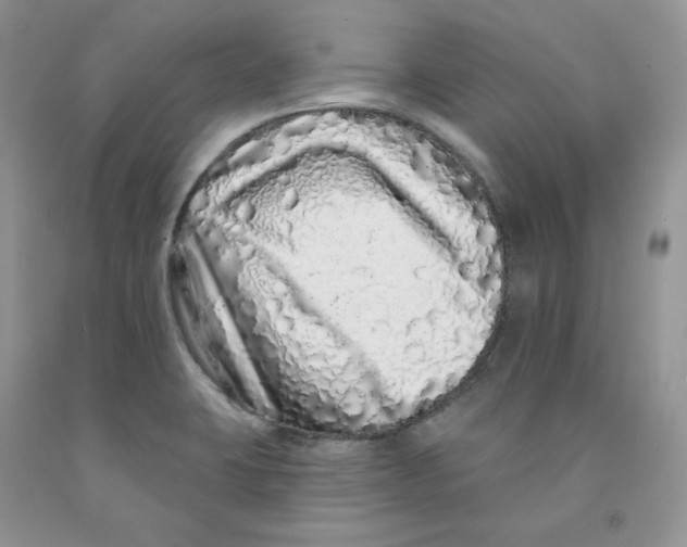 X0000091311423200709071104