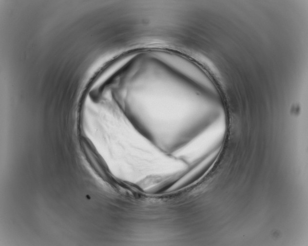 X0000091311424200709071104