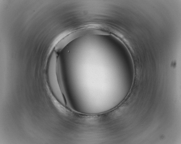 X0000091311426200709071104