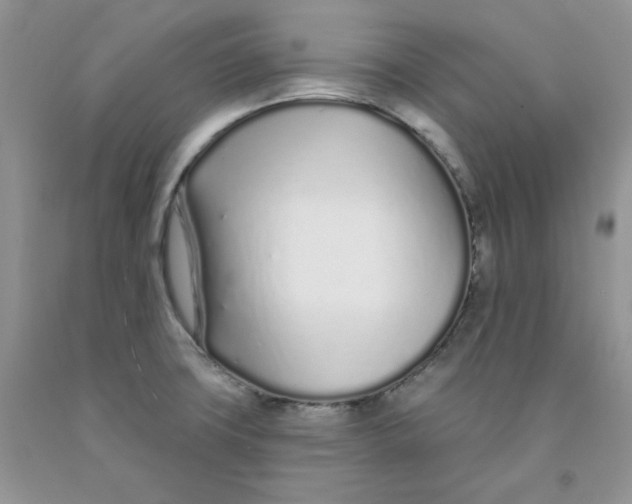 X0000091311427200709071104