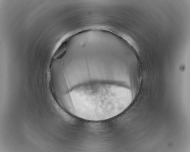 X0000091311428200709071104