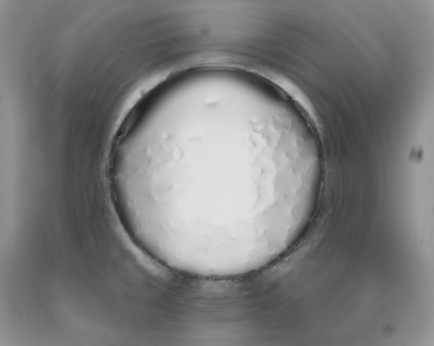 X0000091311429200709071104