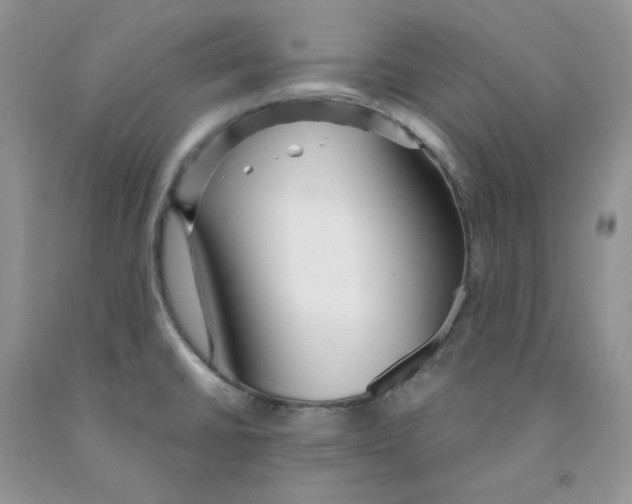 X0000091311430200709071105