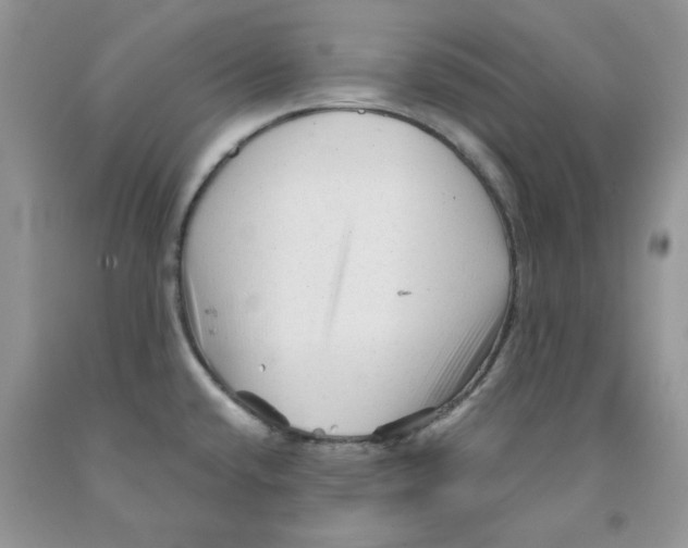 X0000091311432200709071105