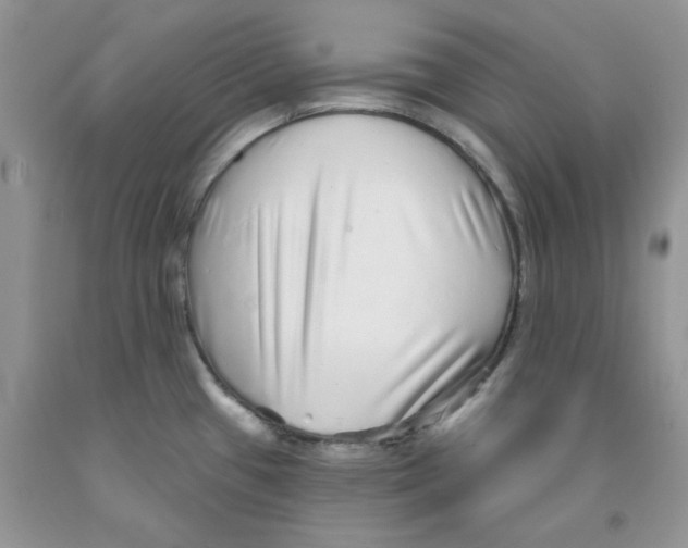 X0000091311433200709071105