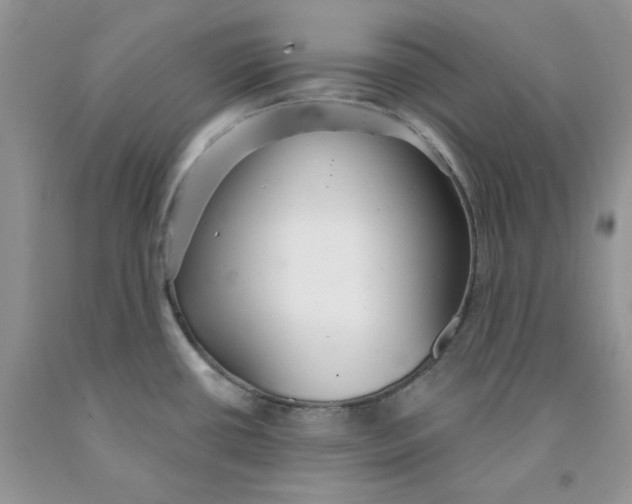 X0000091311434200709071105