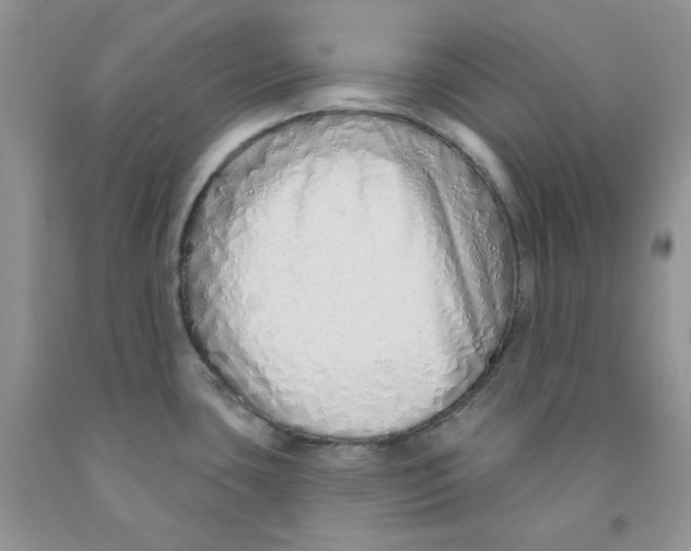 X0000091311435200709071105